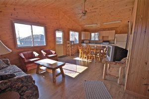 Nature-inspired interior with knotty pine walls and cozy furnishings.
