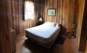 Woodsy inspired bedroom.