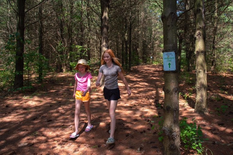 Two young people walk along a trail blanketed in pine needles