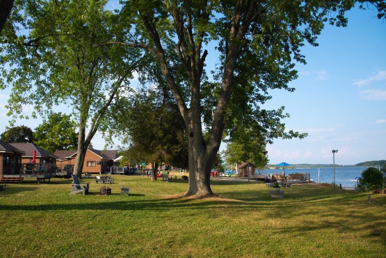 Shade beneath a large trees on the grounds of a cottage resort